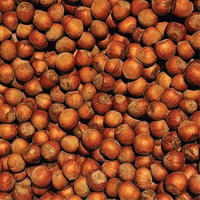 French Corabel Shell-on Hazelnuts