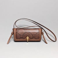Image 1 of ROXY - EPAGNEUL EXOTIC 