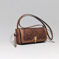 Image 2 of ROXY - EPAGNEUL EXOTIC 