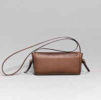 Image 3 of ROXY - EPAGNEUL EXOTIC 