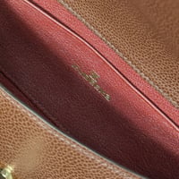 Image 4 of ROXY - EPAGNEUL EXOTIC 