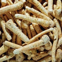 Austrian Steirischer Kren P.D.O Horseradish Root