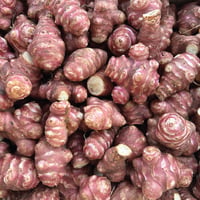 Image 1 of French Violet de Rennes Jerusalem Artichoke