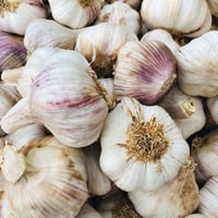 Image 1 of Spanish Morado Purple Garlic Bulbs