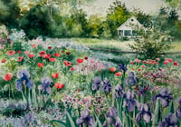 Image 1 of Iris & Poppy Garden