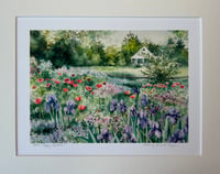 Image 2 of Iris & Poppy Garden