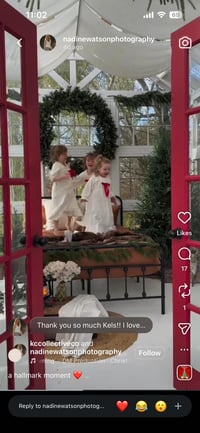 Image 4 of Christmas Minis - White Greenhouse - deposit only