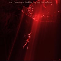 Image 2 of Am I Drowning or Am I Just Learning How To Swim - Red Vinyl