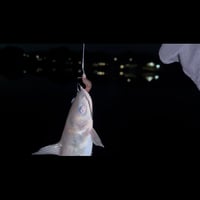 Image 7 of FERAL Hooked & Cooked Series Octopus™ Hooks