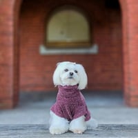 Image 2 of KNIT TEE - MULBERRY