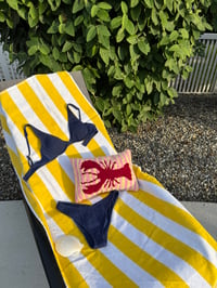Striped Lobster 