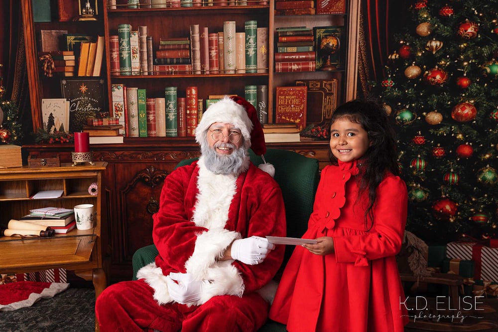 Image of Santa's Study Mini Sessions- DEPOSIT ONLY