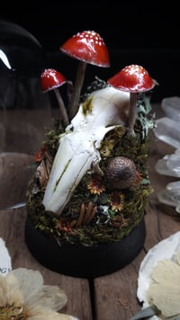 Image 3 of Rabbit Skull and Mushroom Glass Dome