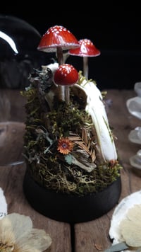 Image 5 of Rabbit Skull and Mushroom Glass Dome