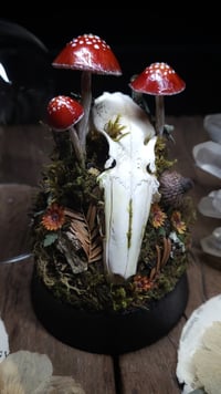 Image 2 of Rabbit Skull and Mushroom Glass Dome
