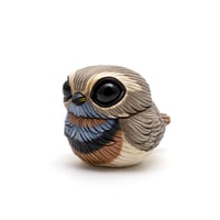 Image 2 of Chubby Bird: Bluethroat