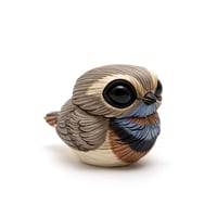 Image 4 of Chubby Bird: Bluethroat