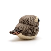 Image 5 of Chubby Bird: Bluethroat