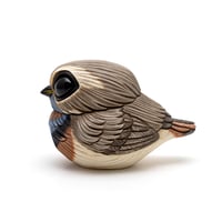 Image 1 of Chubby Bird: Bluethroat