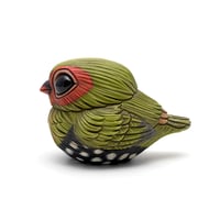 Image 1 of Chubby Bird: Green-Backed Twinspot