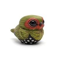 Image 4 of Chubby Bird: Green-Backed Twinspot