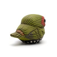 Image 5 of Chubby Bird: Green-Backed Twinspot