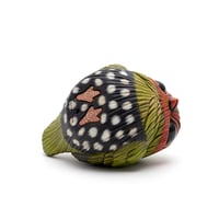 Image 6 of Chubby Bird: Green-Backed Twinspot