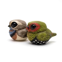 Image 9 of Chubby Bird: Green-Backed Twinspot
