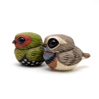 Image 10 of Chubby Bird: Bluethroat