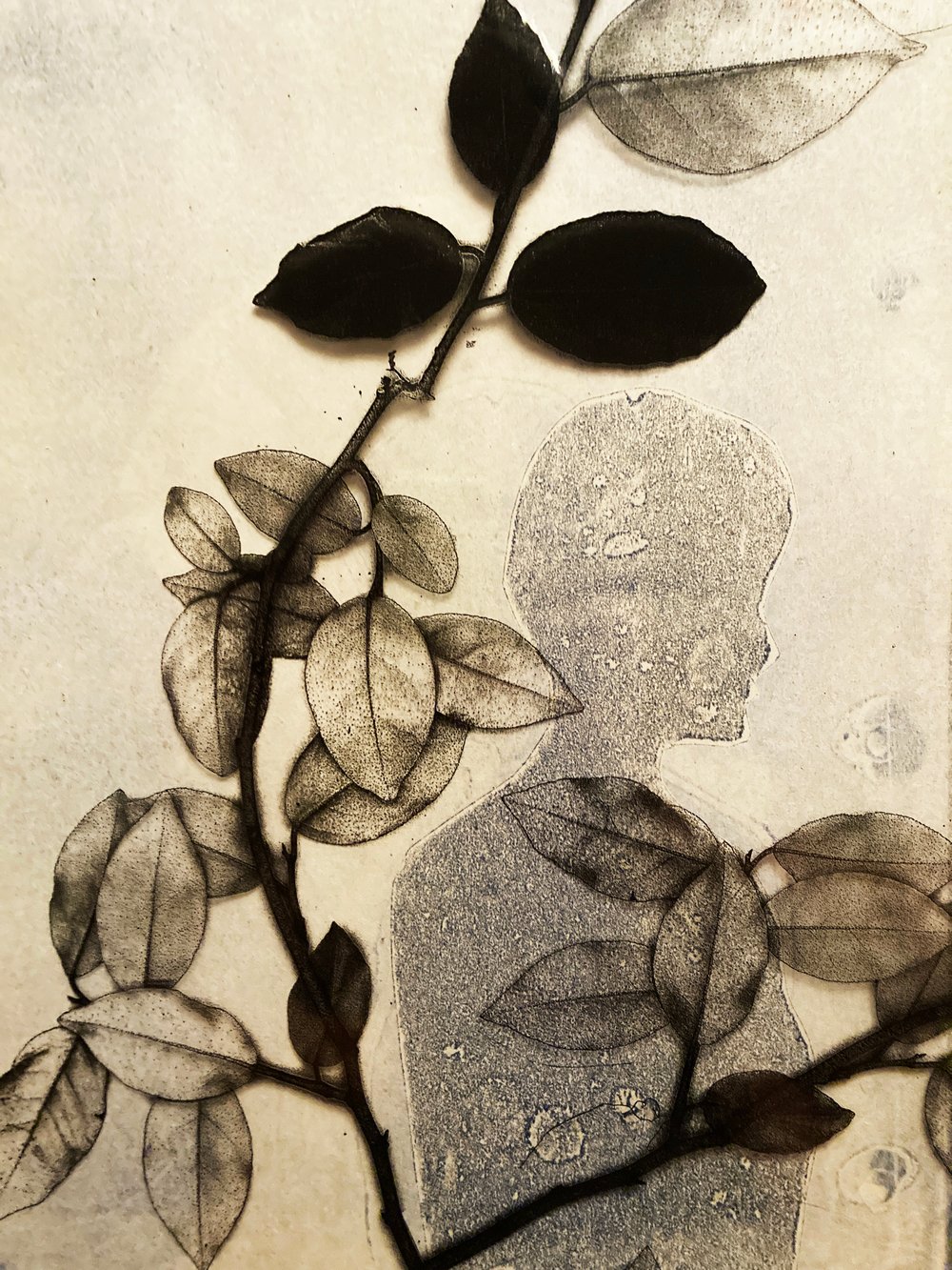 Image of Silhouette IV