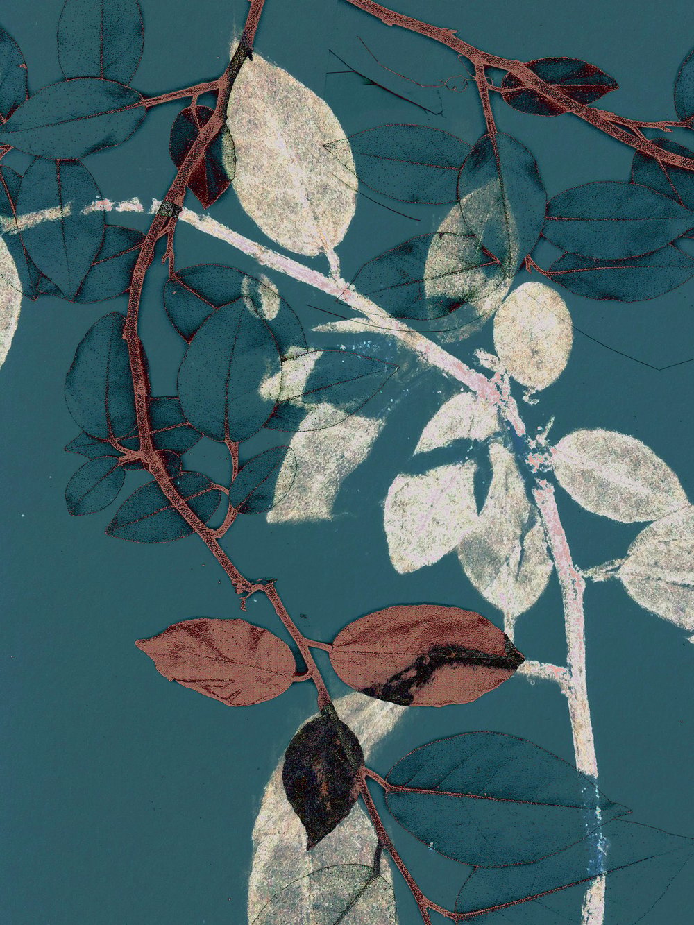 Image of Entwined I