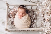 Image 13 of Vintage Woodland Cradle in 2 colors