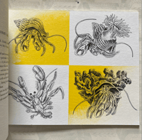 Image 2 of Life Histories by Paxton Chadwick