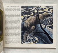 Image 3 of Wild Animals in Britain by Paxton Chadwick