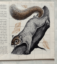 Image 5 of Wild Animals in Britain by Paxton Chadwick