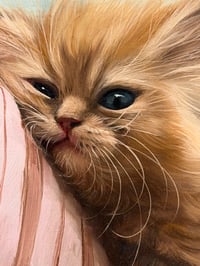 Image 3 of “Unemployed & Thriving” Original Painting