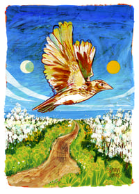 Image 2 of Cornish Skylark A4 Digital Print