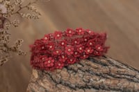 Image 2 of Mohair Tieback 238