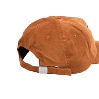 Image 2 of Haze MD Camel