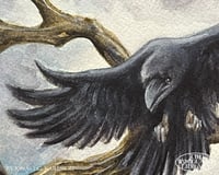 Image 3 of Original Painting - "Black Wings Watching" - FRAMED