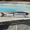 XSS 9" Smolt Glide (dark back stocker)