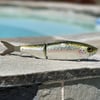 XSS 9" Smolt Glide (green back stocker)