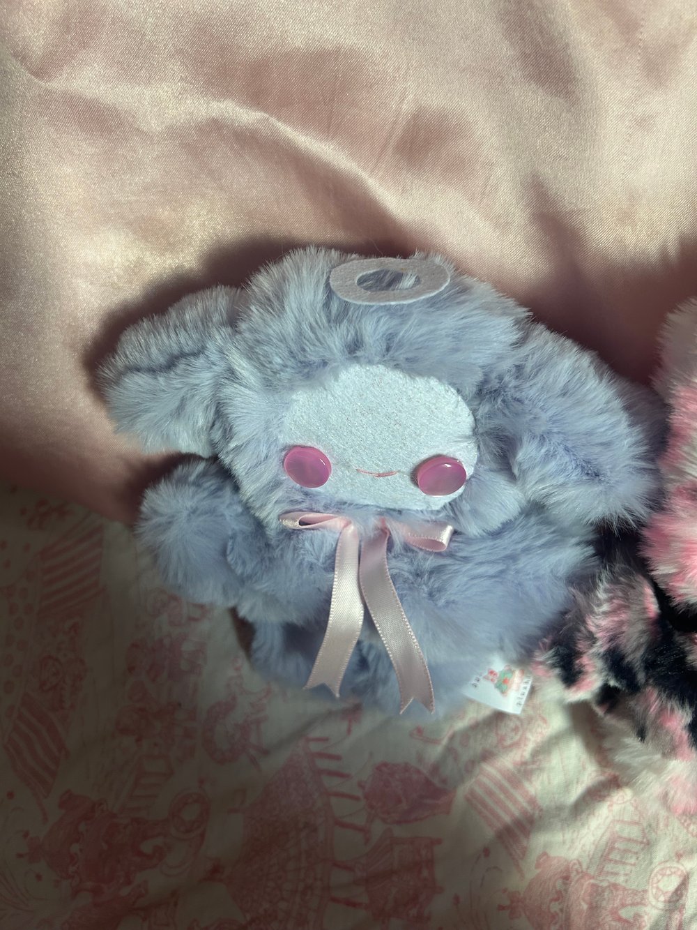 Image of millie the angel pup