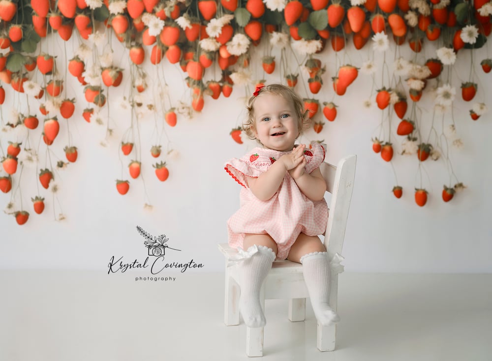 Image of Milestone Studio Mini SALE! $75 OFF!