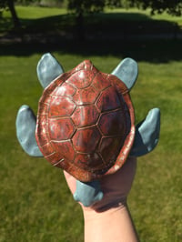 Image 3 of Tank the Turtle
