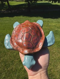 Image 2 of Tank the Turtle