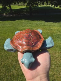 Image 1 of Tank the Turtle