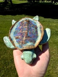 Image 1 of Tilly the Turtle