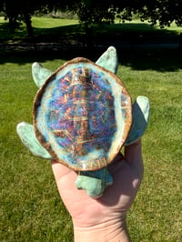 Image 2 of Tilly the Turtle