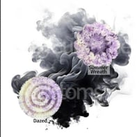 Image 4 of Lavender Drift
